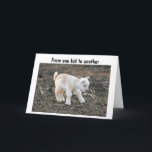 CARTE FROM ONE KID TO ANTOTHER HAPPY BIRTHDAY<br><div class="desc">Tout le monde pense que les chèvres porcines sont mignonnes,  et,  si VOUS LE FAITES,  alors c'est une belle carte à envoyer à quelqu'un dans "votre vie" d'avoir un anniversaire bientôt!</div>