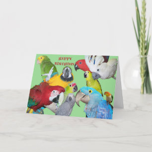 Carte From the Flock Birthday