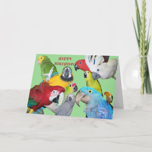 Carte From the Flock Birthday (Devant)