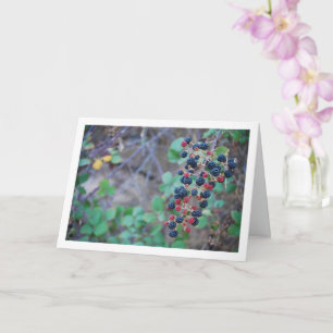 Carte Fruit de Blackberry sauvage