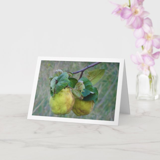 Carte Fruit de coing (Orchidée)