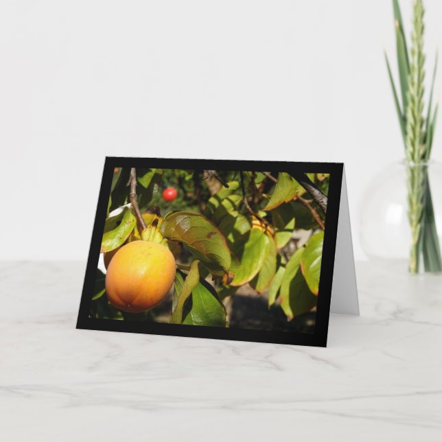 Carte Fruit de kaki dans l'arbre (Devant)