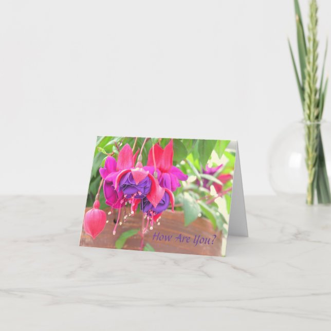 CARTE FUCHSIA ROSE ET POURPRE CASCADANT DU POT D'ARGILE (Devant)