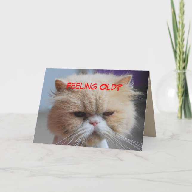 Carte Fuggeddaboudit Humour de chat persan (Devant)