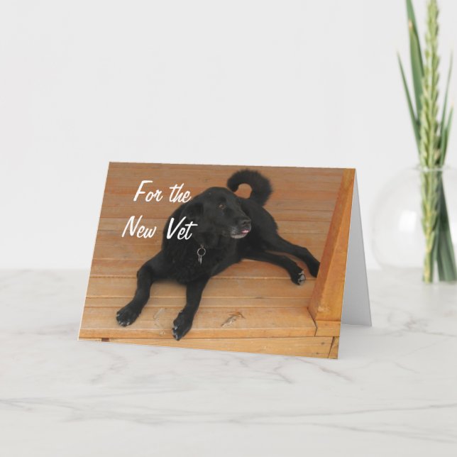 Carte Fun Canine Vet Graduate Félicitations Diplôme (Devant)