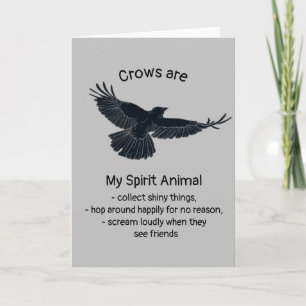 Carte Fun Crows Bird Spirit Animal Humour Devis Totem Ca