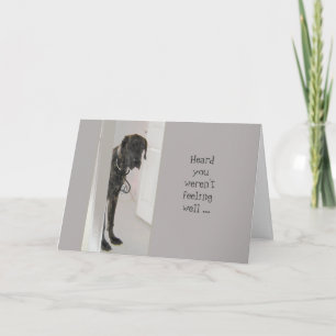 Carte Fun Get Well Great Dane Dog Doter (doctor)