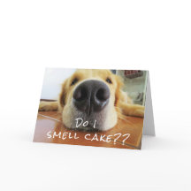 Fun mignon chien Big Nez Joyeux anniversaire