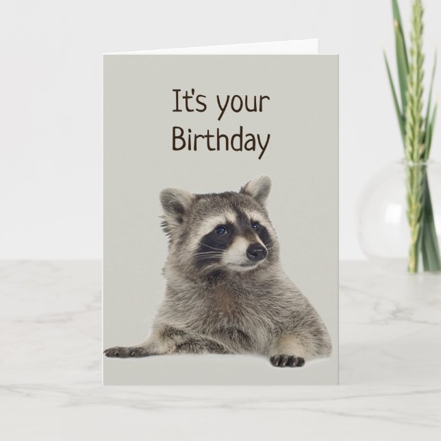 Carte Fun Raccoon n'a pas d'argent pour un cadeau (Devant)