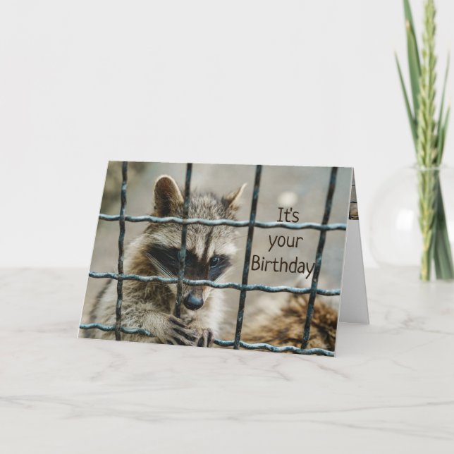 Carte Fun Raccoon Vous Avez Capturé Mon Coeur Vous Aimez (Devant)