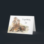 Carte Fun Son "Ne grandissez pas" Mignons phoques<br><div class="desc">Fun Son Anniversaire "Ne grandez pas maintenant" Mignons phoques</div>