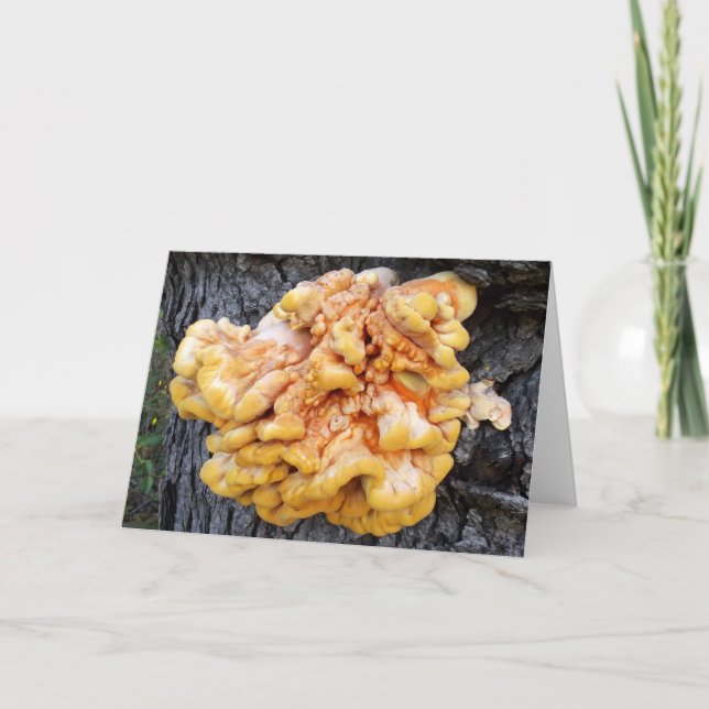 Carte Fungus orange (Devant)