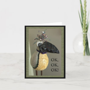 Carte Funky Birthday Facts and Advice