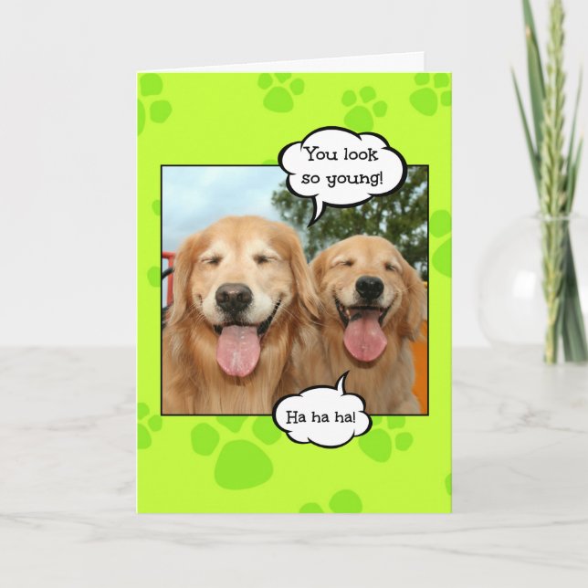 Carte Funky Golden Retriever Golden Oldie Anniversaire (Devant)