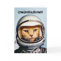 Funny 17th Anniversary Card pour couple