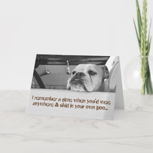 Carte Funny 50th Birthday Greeting Card - Skid in Poo (Devant)