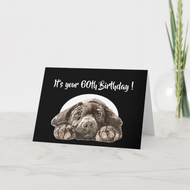 Carte Funny 60e anniversaire, Labrador Retriever (Devant)
