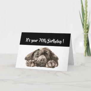 Carte Funny 70e anniversaire, Labrador Retriever
