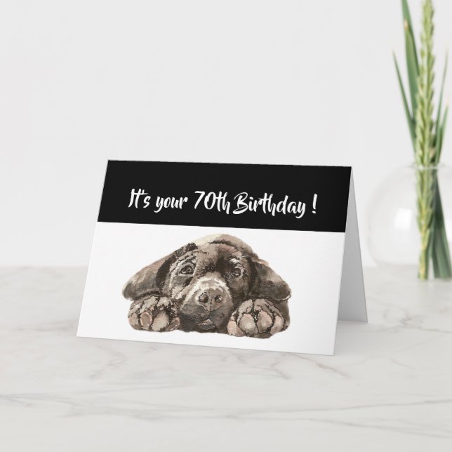 Carte Funny 70e anniversaire, Labrador Retriever (Devant)
