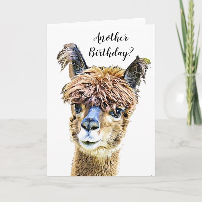 Carte Funny Alpaca Llama Humor Birthday (Devant)