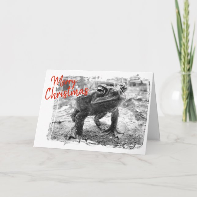 Carte Funny Australian Christmas Greeting Card (Devant)