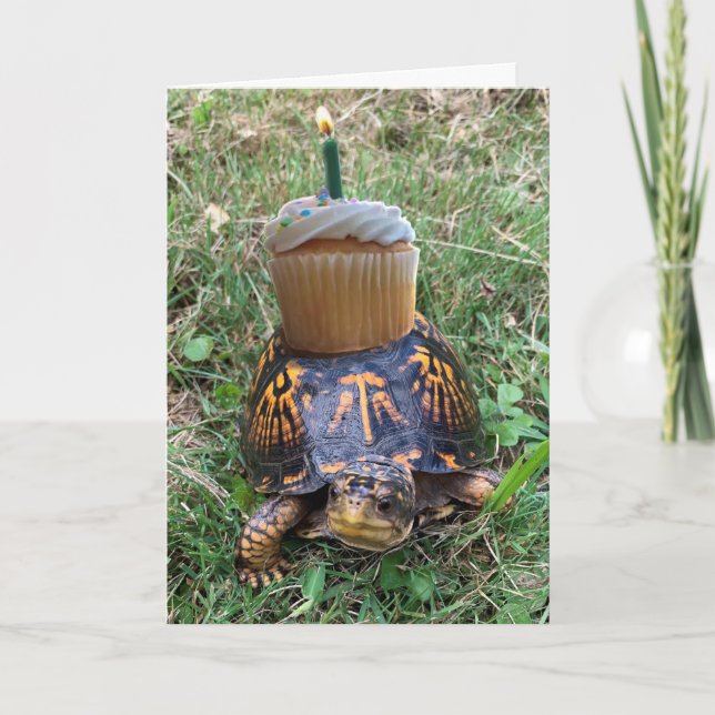 Carte Funny Belated Birthday Card (Devant)