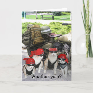 Carte Funny Biker Chats Anniversaire