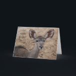 Carte funny birthday antelope, can't n'importe qui my ea<br><div class="desc">Zoo Cards Collection,  humorous,  "Je peux avoir n'importe quoi sur ma vie!!!" inside: "they say you've aged another year...  you could have fooled me!!" Adorable antelope</div>