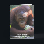 Carte Funny Birthday Card, Orangutan veut du gâteau !<br><div class="desc">Funny Birthday Card,  Orangutan veut du gâteau !</div>