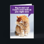 Carte Funny Birthday Card pour Old Geezer<br><div class="desc">Ce tabby orange est tellement dégoûté qu'il ne peut même pas regarder le garçon d'anniversaire... Je veux dire, geezer d'anniversaire. Le devant dit, "Dis que ce n'est pas le cas ! Je ne peux même pas vous regarder en ce moment." A l'intérieur de la carte continue avec, "Je suis amis...</div>