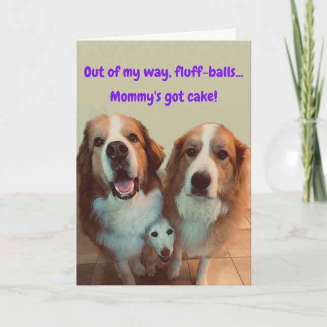 Carte Funny Birthday Card Short Dog with Fluffy Dogs (Devant)