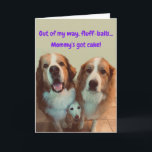 Carte Funny Birthday Card Short Dog with Fluffy Dogs<br><div class="desc">Faites sourire quelqu'un à l'occasion de leur anniversaire,  avec la détermination de la petite Mia au milieu de faire en sorte qu'elle se fasse remarquer! Dawson et Zoya pensent qu'ils peuvent lui voler des friandises,  mais ne comptez pas Mia !</div>