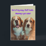 Carte Funny Birthday Card Short Dog with Fluffy Dogs<br><div class="desc">Faites sourire quelqu'un à l'occasion de leur anniversaire,  avec la détermination de la petite Mia au milieu de faire en sorte qu'elle se fasse remarquer! Dawson et Zoya pensent qu'ils peuvent lui voler des friandises,  mais ne comptez pas Mia !</div>