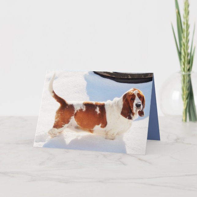 Carte Funny Birthday Card w/Beautiful Basset Hound (Devant)