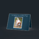 Carte Funny Birthday Card W/Cute Basset Hound & Cake<br><div class="desc">Funny Birthday Card W/Cute Basset Hound & Cake</div>