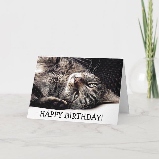 Carte Funny birthday card with cat - ready to play ! (Devant)