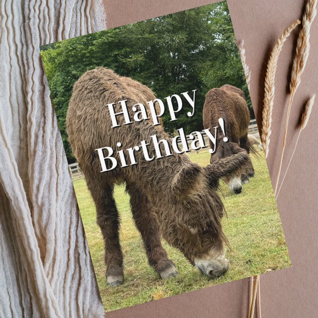 Carte Funny Birthday Donkey Farm Animal Cute Barnyard  (Créateur téléchargé)