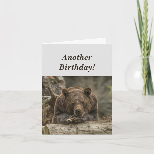 Carte Funny Birthday est le Grizzly Bear Humour (Devant)