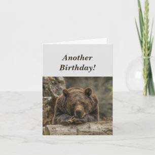 Carte Funny Birthday est le Grizzly Bear Humour
