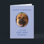 Carte Funny Birthday From Dog To Owner Photo Card<br><div class="desc">Funny Birthday From Dog To Owner Photo Card with punchline inside features doggie's pic on front and text reading "Happy Birthday to My Very Best Friend!" Inside, it says, "... from Ol' Yours Drooly!" Then, "Love" and his (or her) name. Just upload pup's photograph to get started.</div>