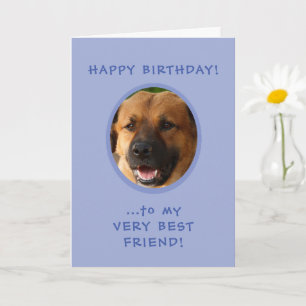 Carte Funny Birthday From Dog To Owner Photo Card