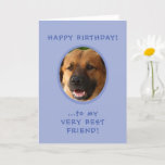 Carte Funny Birthday From Dog To Owner Photo Card<br><div class="desc">Funny Birthday From Dog To Owner Photo Card with punchline inside features doggie's pic on front and text reading "Happy Birthday to My Very Best Friend!"   Inside,  it says,  "... from Ol' Yours Drooly!"   Then,  "Love" and his (or her) name.  Just upload pup's photograph to get started.</div>