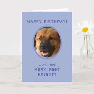 Carte Funny Birthday From Dog To Owner Photo Card