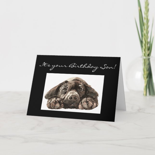 Carte Funny Birthday Son, Labrador Retriever (Devant)