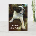 Carte Funny Boston Terrier Birthday Card (Animal Rescue)<br><div class="desc">Cette carte présente un adorable Boston Terrier qui est comiquement choqué de découvrir votre âge et serait parfait pour toute personne qui a besoin d'une carte d'anniversaire drôle ou même juste une dose quotidienne de mignonette. En outre, 5% des pourcentages de chaque vente sont donnés à des sauveteurs d'animaux, donc...</div>