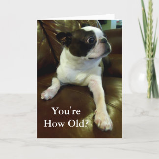 Carte Funny Boston Terrier Birthday Card (Animal Rescue)