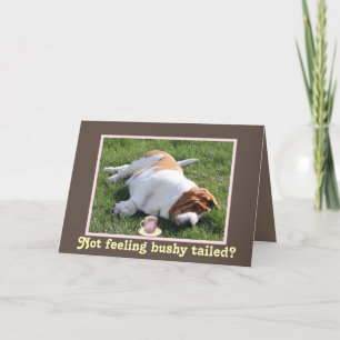 Carte Funny Bushy Tailed "Get Well" Card w/Basset Hound
