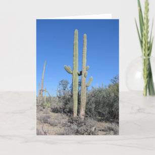 Carte Funny Cactus Anniversaire Card
