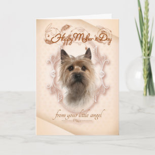 Carte Funny Cairn Terrier Mother's Day Card