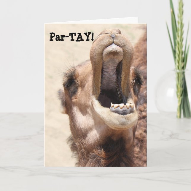 Carte Funny Camel Card, PAR-TAY comme son anniversaire ! (Devant)